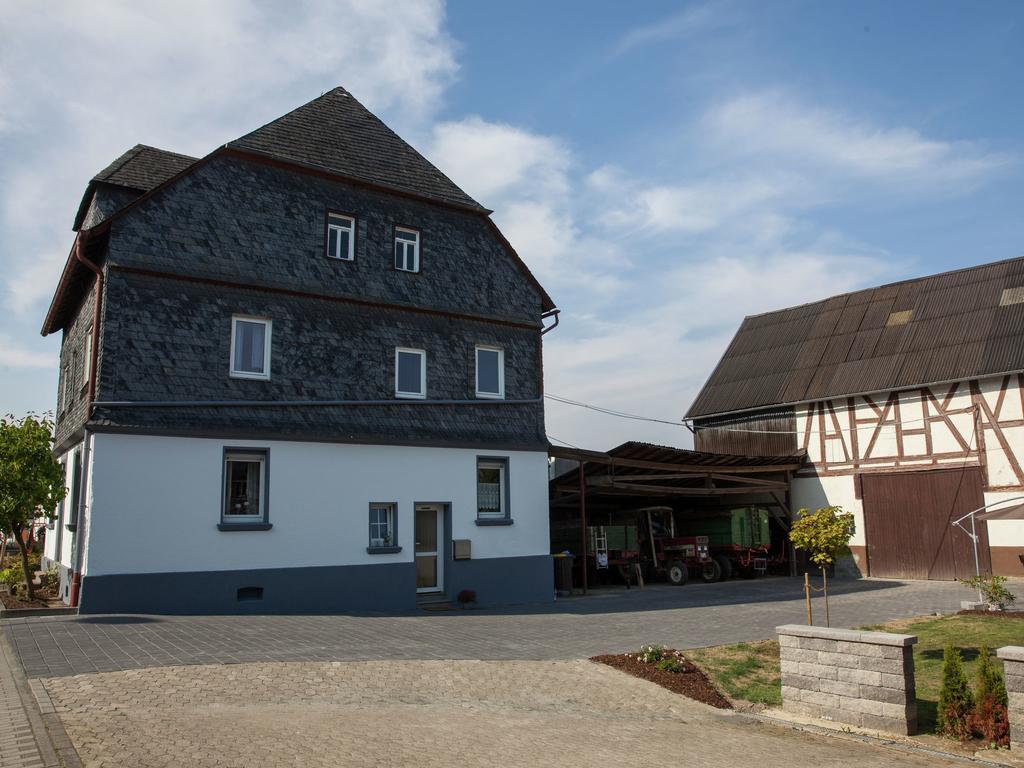 Spacious Holiday Home Between Mosel And Hunsr Ck Blankenrath Exteriör bild